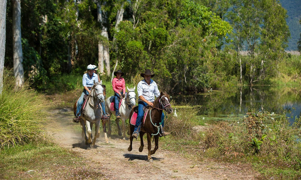 Blazing Saddles Adventures horse riding 