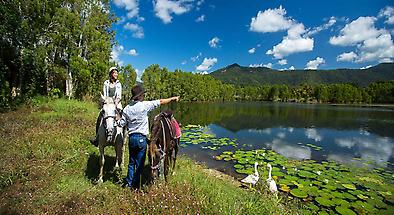 Cairns Horse Riding Tours