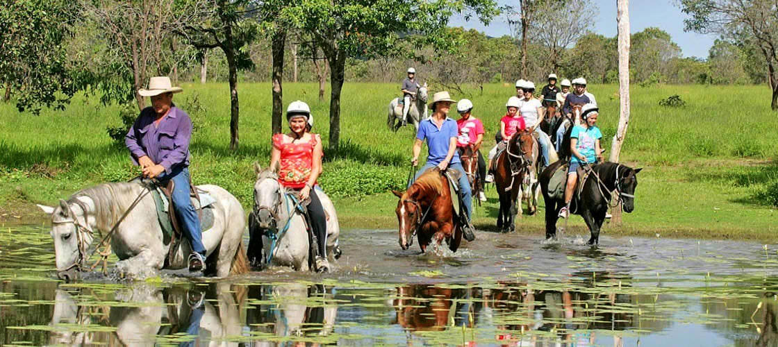 Cairns Horse Riding Tour