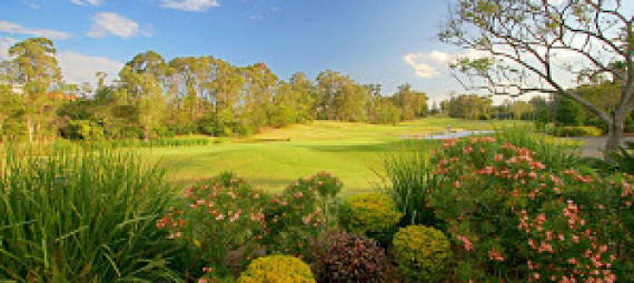 Thumbnail for gallery