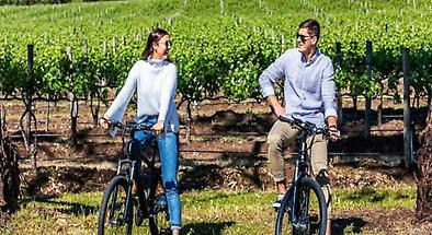 Electric Bike Tours in McLaren Vale