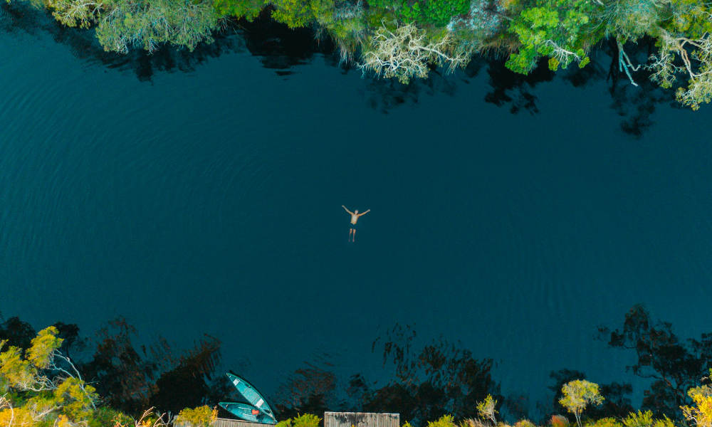Noosa swimming everglades