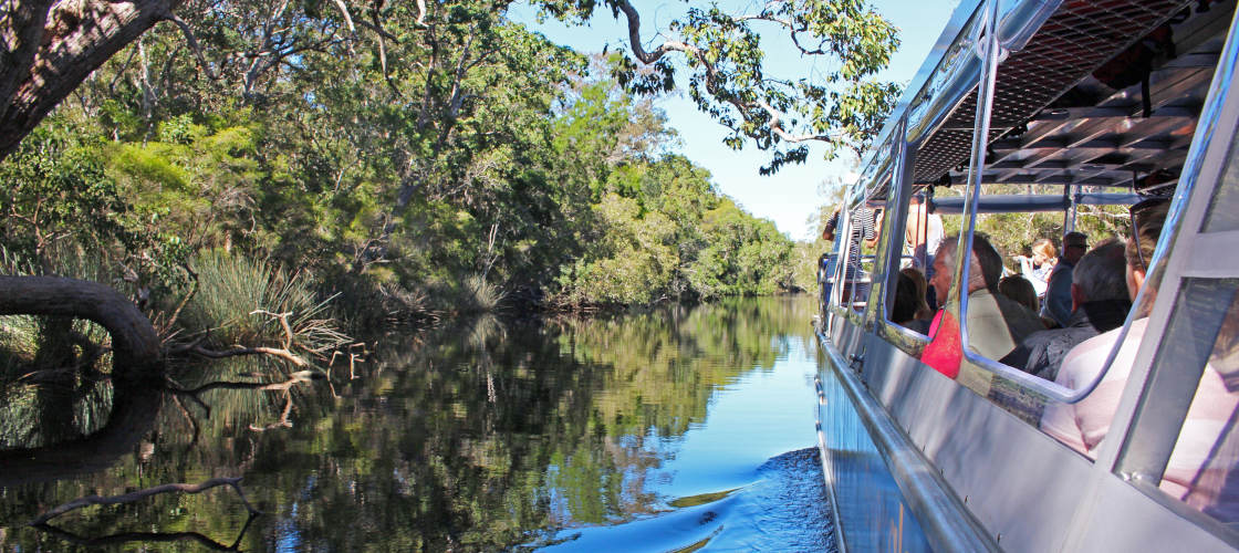 Noosa Everglades Eco Safaris