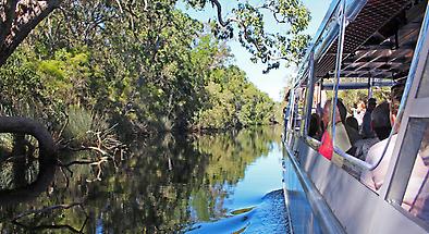 Noosa Everglades Eco Cruises