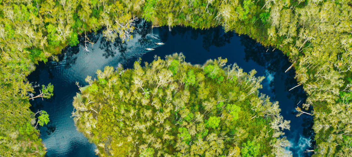 Noosa Everglades Tours