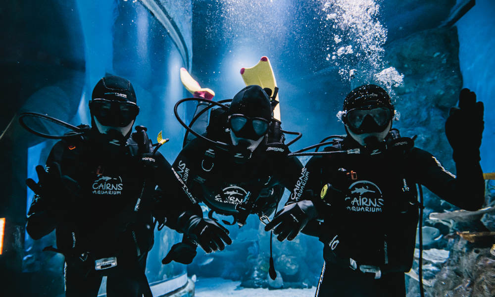 Cairns Aquarium Dive with the Sharks 3 People Waving
