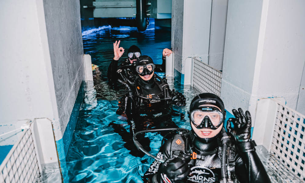 Cairns Aquarium Dive with the Sharks People Entering Tank