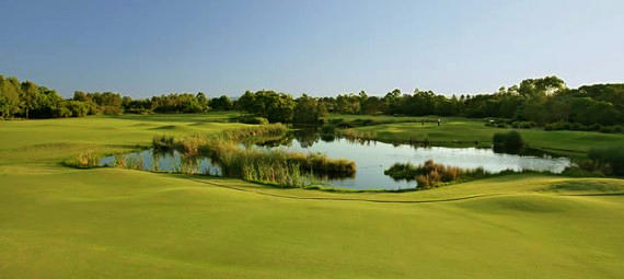 Thumbnail for gallery