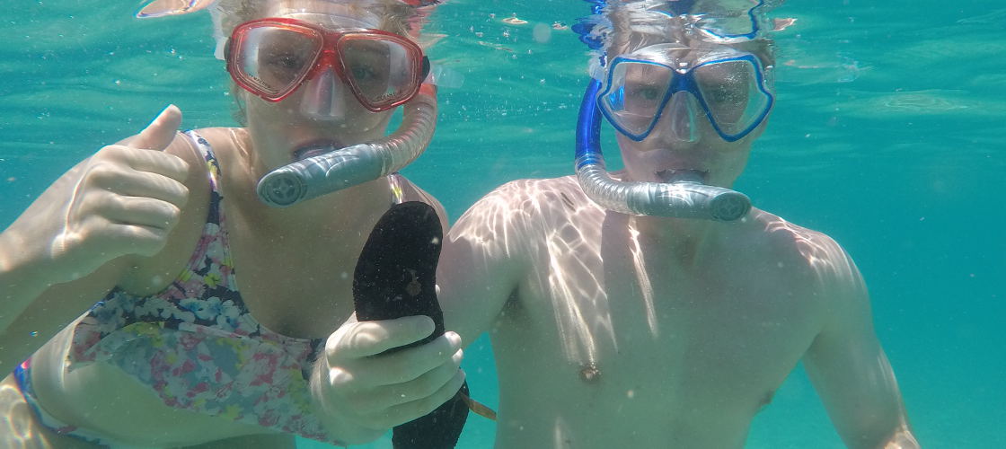 Thumbnail for gallery