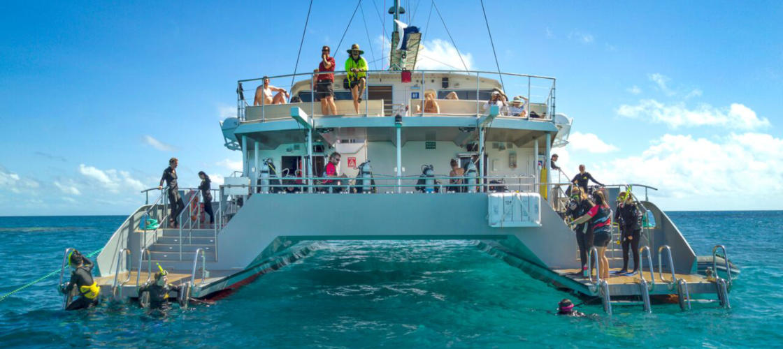 passions of paradise cruise