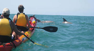 Kayaking Tours in Noosa