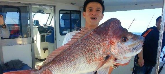 Deep Sea Fishing Charters Gold Coast