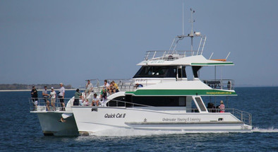 Morning Whale Watch and Fraser Island One Day Tour