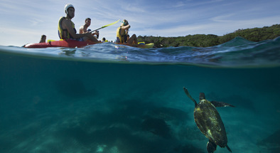 Nature Kayaking Tours in Byron Bay and Brunswick Heads