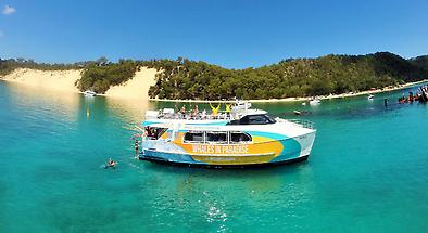 Moreton Island Dolphin Tours with Snorkelling