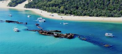 Moreton Island Dolphin & Tangalooma Wrecks Cruise
