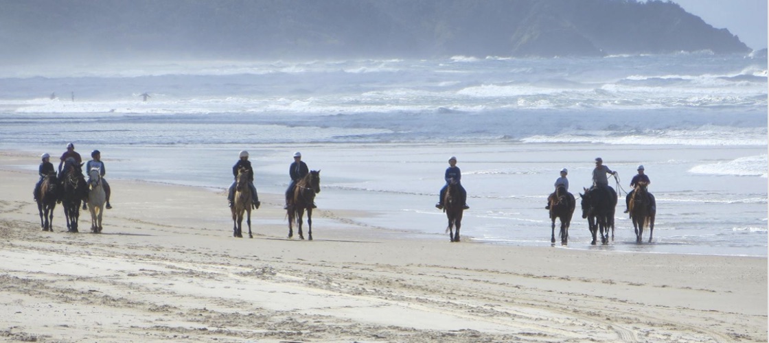 Thumbnail for gallery