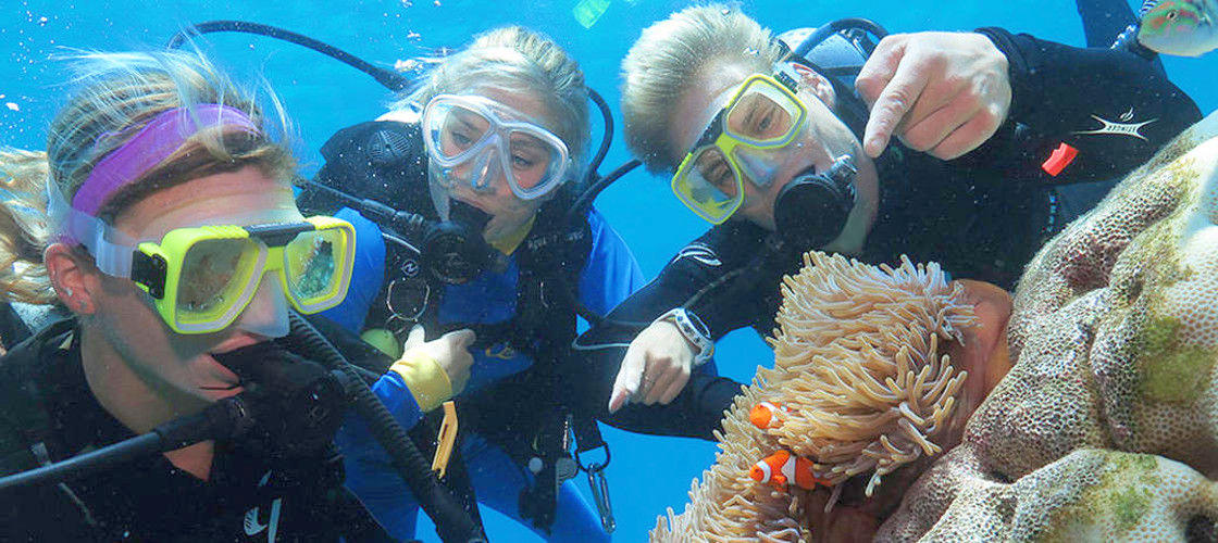 Thumbnail for gallery