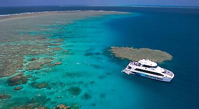Port Douglas Great Barrier Reef Cruise to 3 Reef Locations