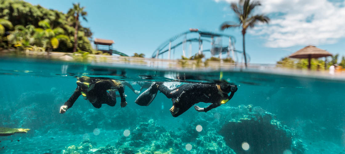 Thumbnail for gallery