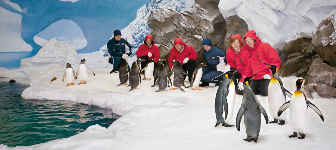 Thumbnail for gallery