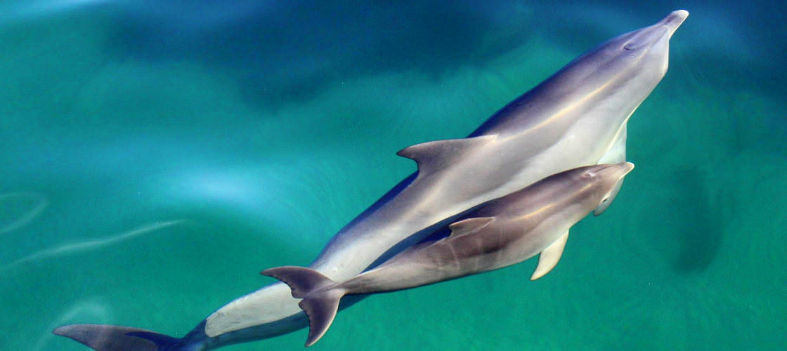 Thumbnail for gallery