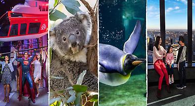 Pick Your Own Sydney Attractions Passes