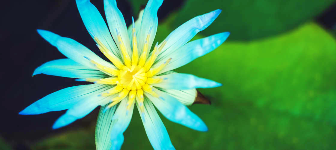 Thumbnail for gallery