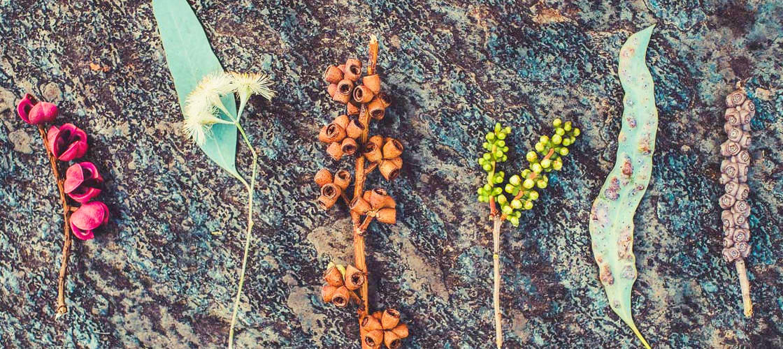 Thumbnail for gallery