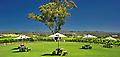 Barossa Valley Small Group Wine Tours