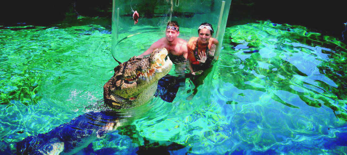 Thumbnail for gallery