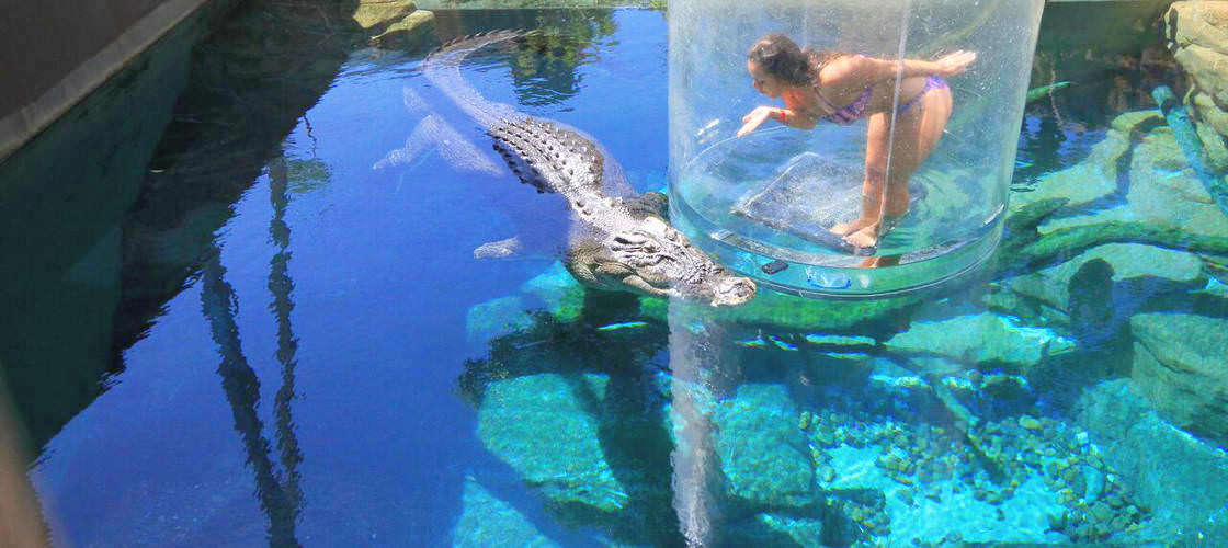 Thumbnail for gallery