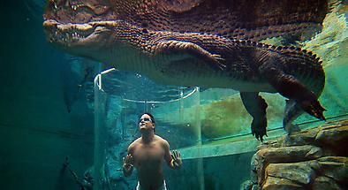 Cage of Death at Crocosaurus Cove