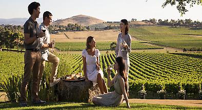 Hunter Valley Helicopter Flight with Lunch