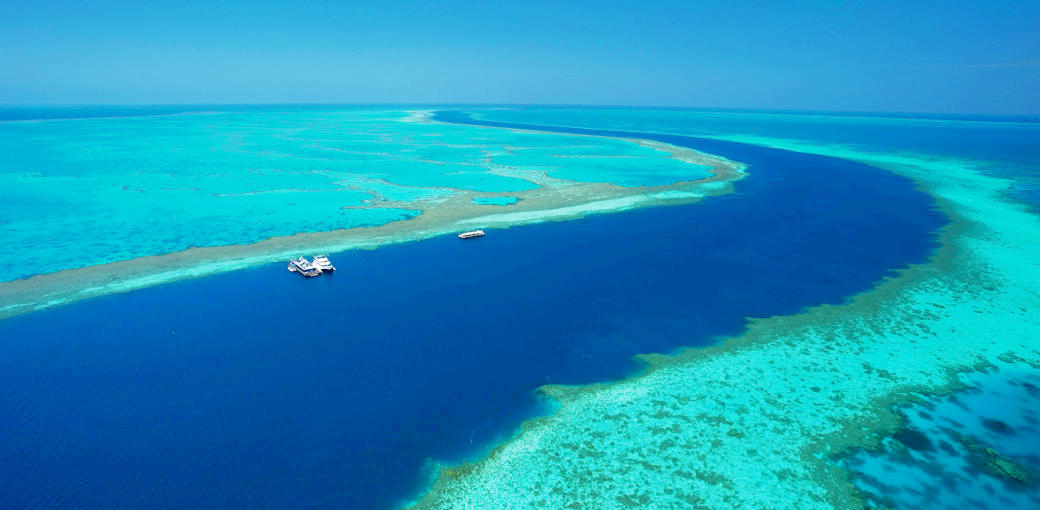 Dive the Outer Reef with Cruise Whitsundays