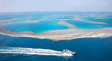 Outer Great Barrier Reef Cruise from Airlie Beach or Hamilton Island