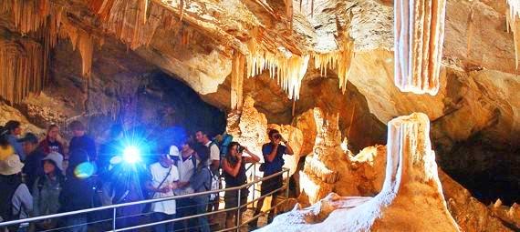 Jenolan Caves Tours