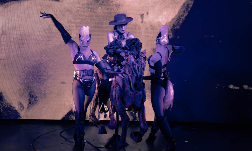 Draculas Gold Coast Muertos 2019 Horse Act with Gloves and Tails