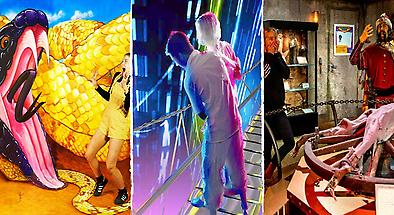 Surfers Paradise 3 Attraction Pass