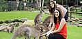 Currumbin Wildlife Sanctuary 