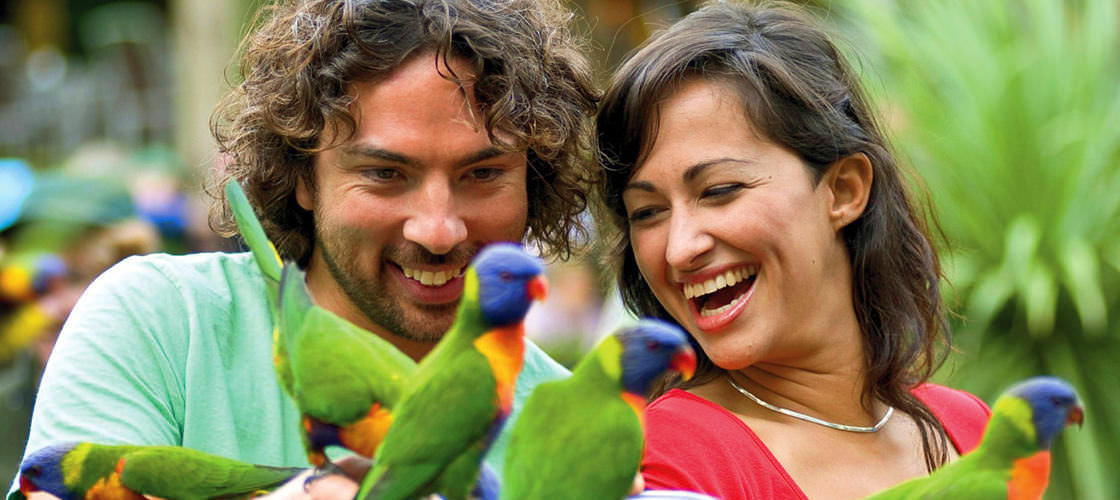 Currumbin Wildlife Sanctuary 