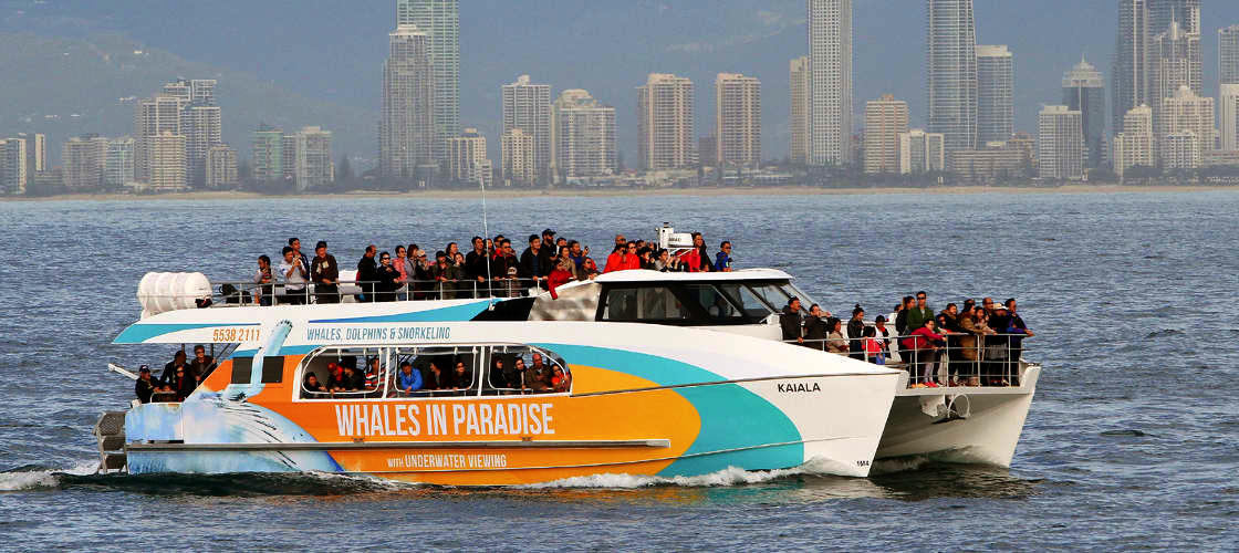 Thumbnail for gallery