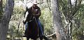 Snowy Wilderness Horse Riding Tours Experience Oz Australia