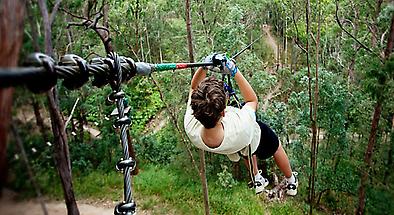 Gold Coast Hinterland High Ropes Treetop Adventure