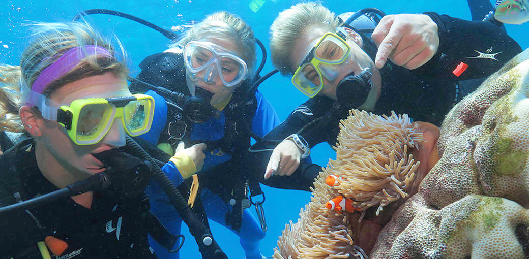 Thumbnail for gallery