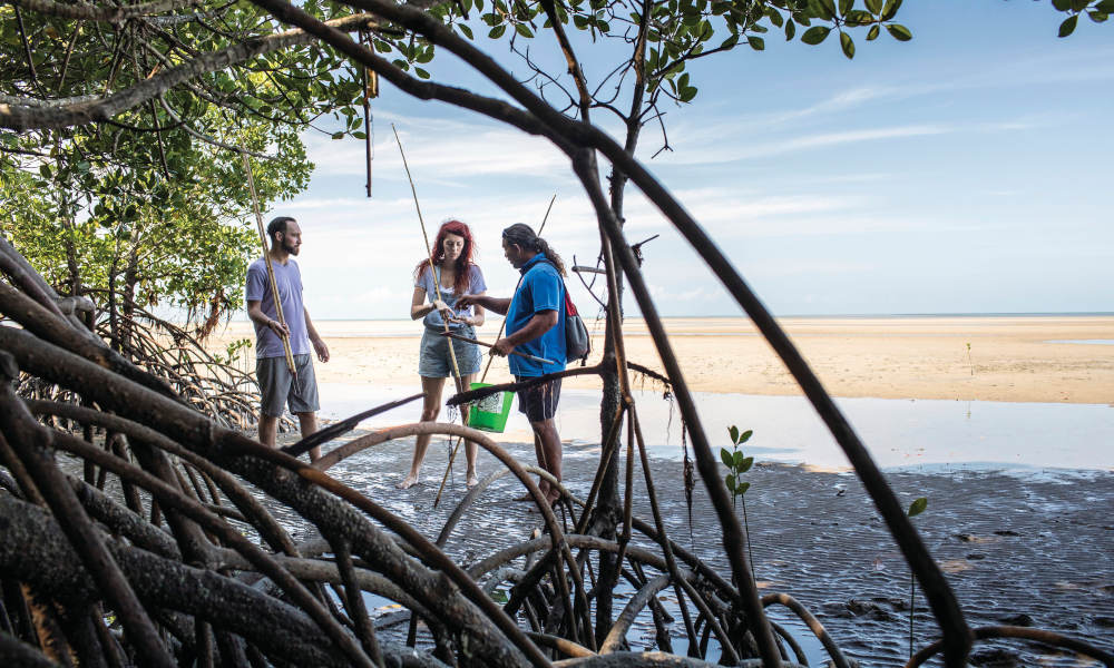 Adventure North Australia  Daintree Traditional Aboriginal Fishing day trip 