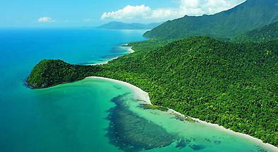 Cape Tribulation, Daintree and Mossman Gorge Tour from Port Douglas