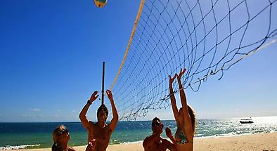 Gold Coast to Tangalooma Island Resort Tour with Lunch and Optional Dolphin Feeding