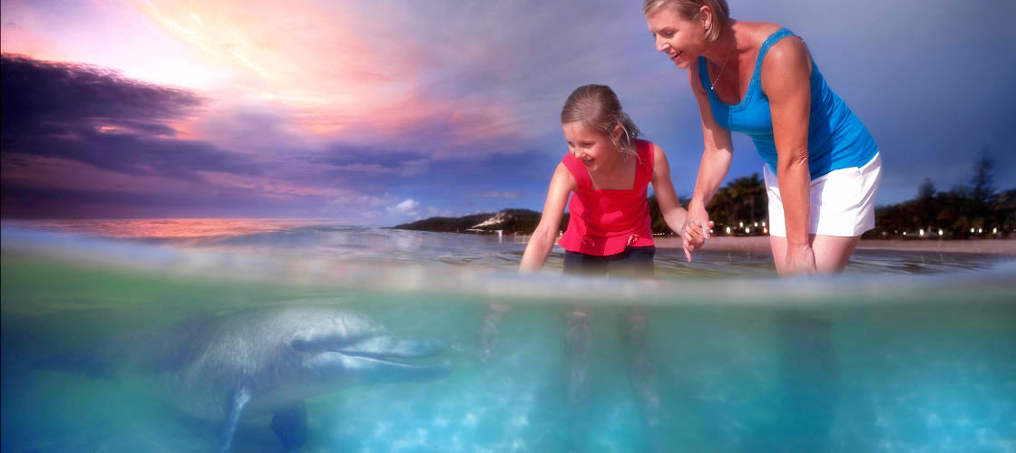 Thumbnail for gallery