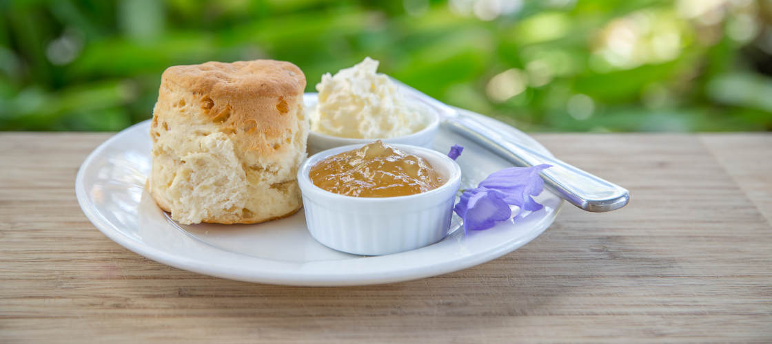 ginger factory sunshine coast experience food